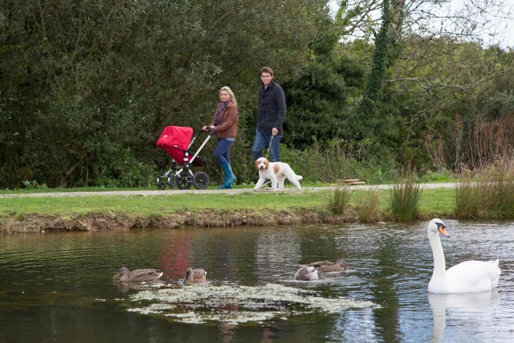 Skylark Sleeps 8 Private Hot Tub & Dogs Welcome Nr Padstow, Pool Bar & Watersports Holiday home *